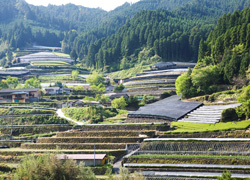 奥八女黒木町の風景