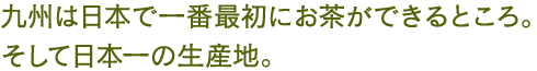 九州は日本で一番最初にお茶ができるところ。そして日本一の生産地。